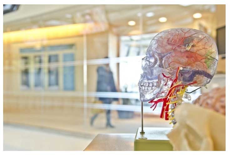 Resolving Cancer Related Cognitive Impairment - Repairing the Blood Brain Barrier Resolving Cancer Related Cognitive Impairment - Repairing the Blood Brain Barrier